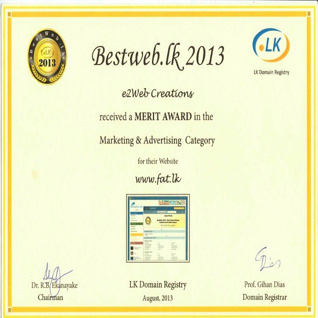 Bestweb.lk 2013 - Marketing & Advertising Category - Merit Award